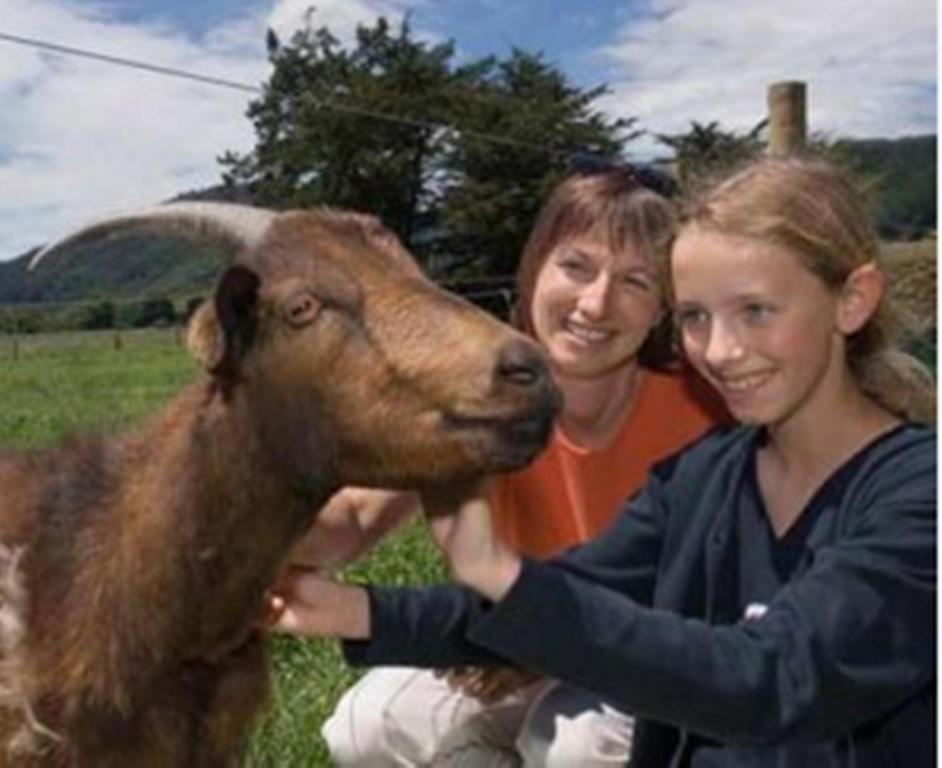 Smiths Farm Holiday Park Linkwater ภายนอก รูปภาพ